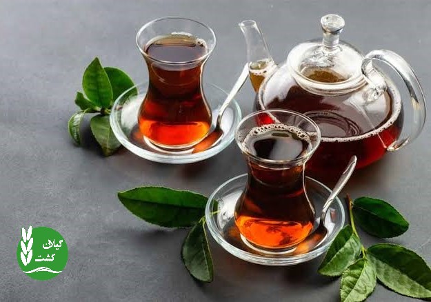 چای بهاره